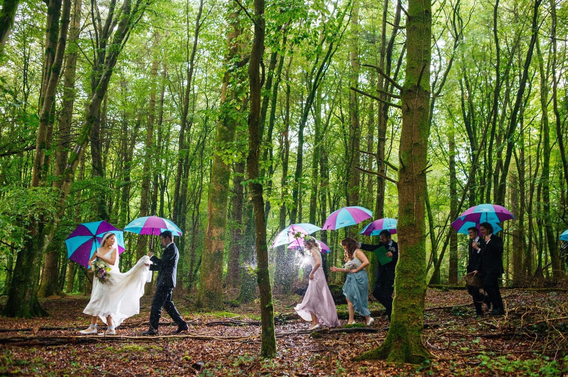 A Talented and Experienced Wedding Photographer in Wicklow