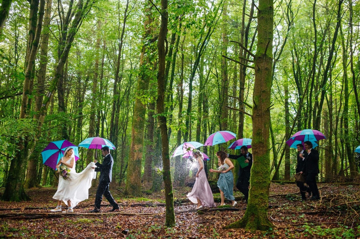 Wedding photographer Wicklow Wedding photographer Wicklow